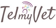 TelmyVet Logo