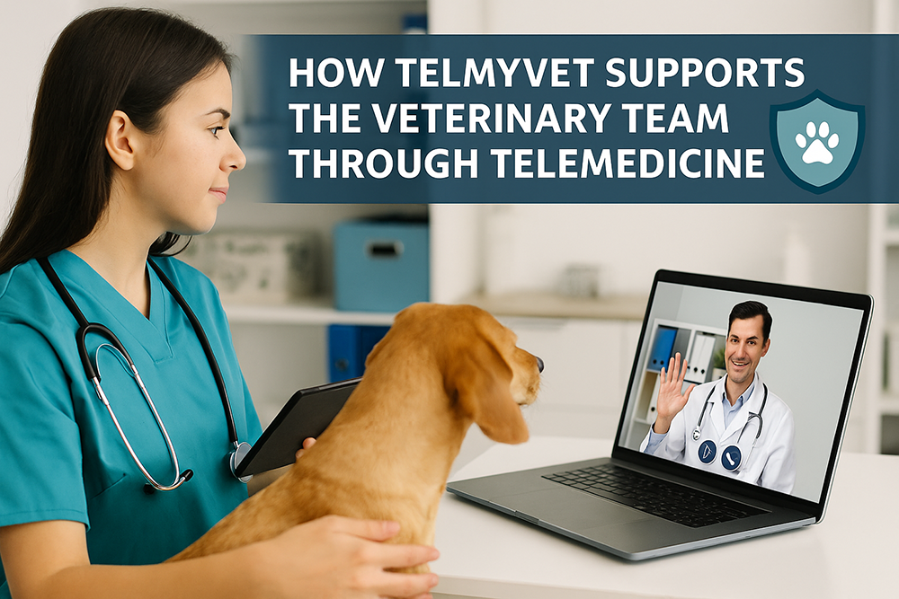 How TelmyVet Supports the Veterinary Team Through Telemedicine